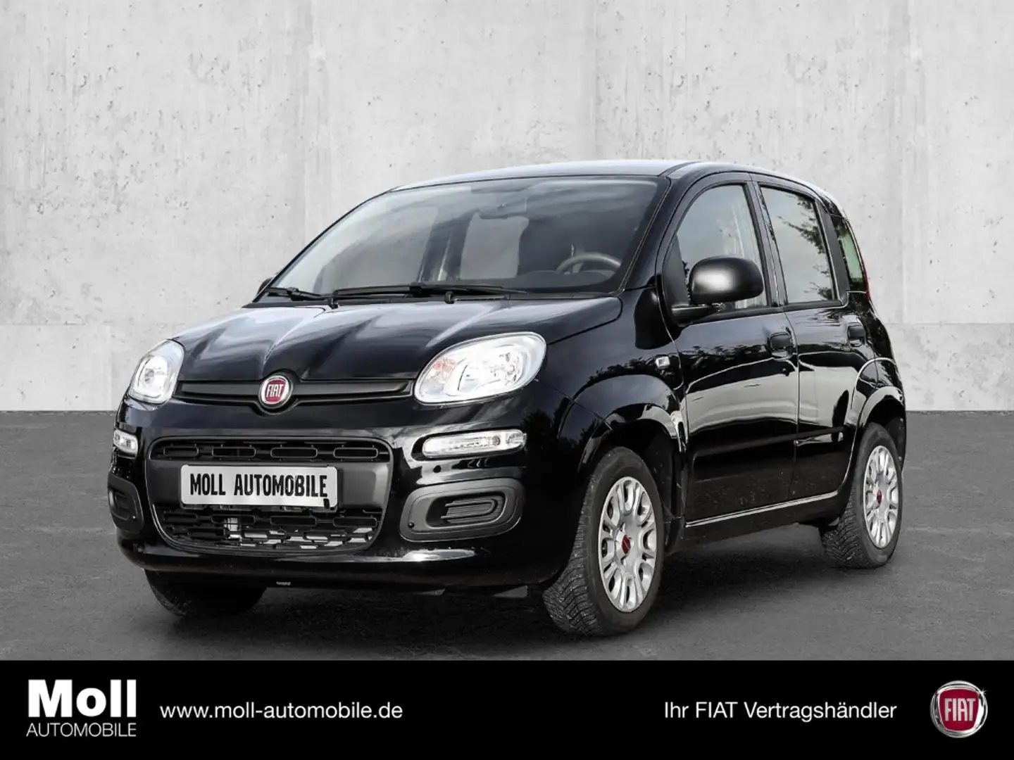 Fiat Panda Easy 1.2 8V EU6d-T DAB PDC Berganfahrass. Klima el Schwarz - 1