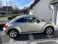 Volkswagen Beetle Silver - thumbnail 5