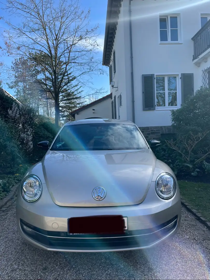 Volkswagen Beetle Gümüş rengi - 2
