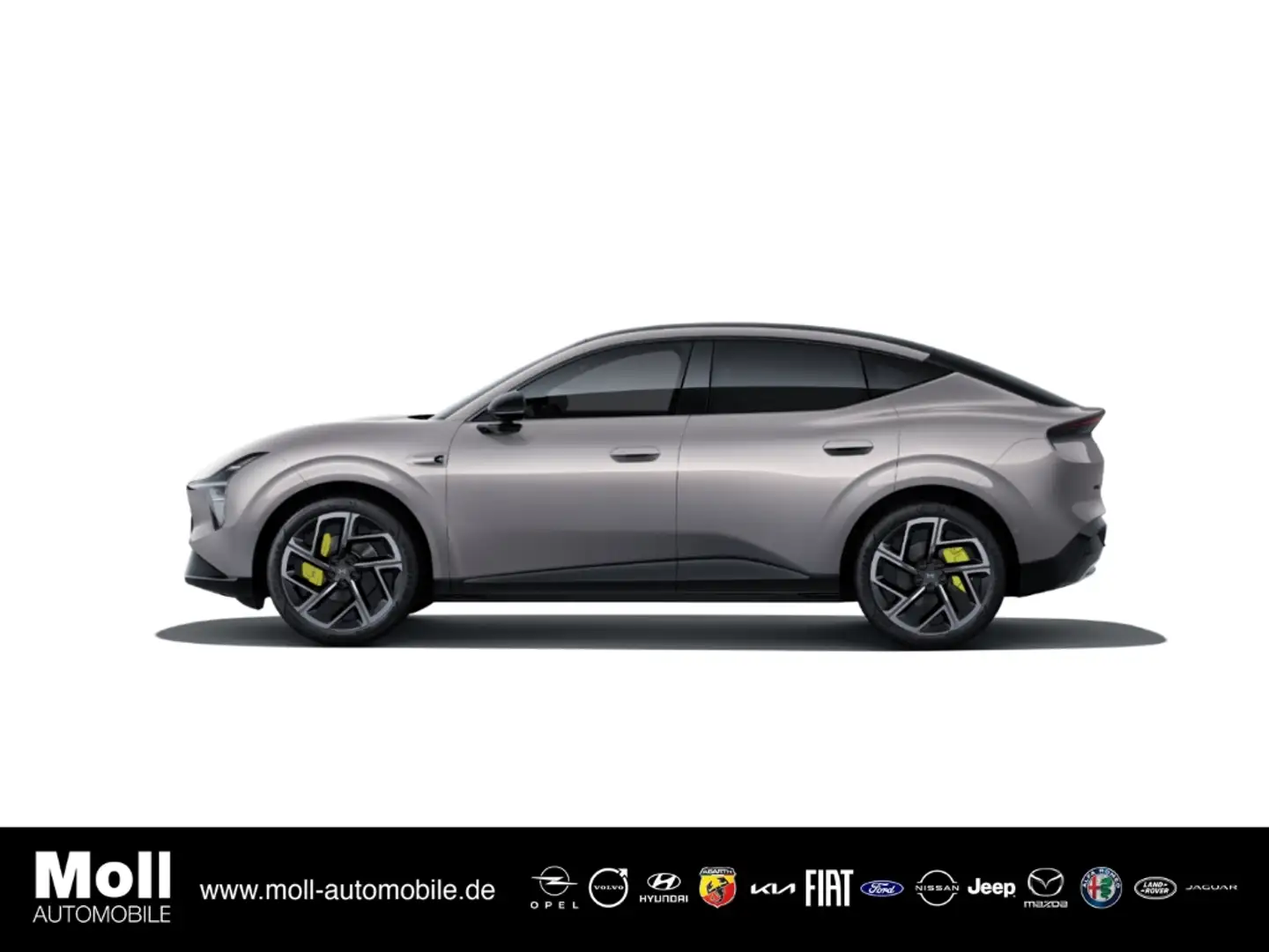 Xpeng Sonstige AWD Performance Ultra Leder Panoramadach Navi Grau - 1