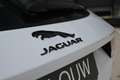 Jaguar E-Pace 2.0 P250 AWD First Edition Wit - thumbnail 18
