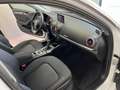 Audi A3 Sedan 1.6 tdi Business 110cv s-tronic UNICO PROP Weiß - thumbnail 8