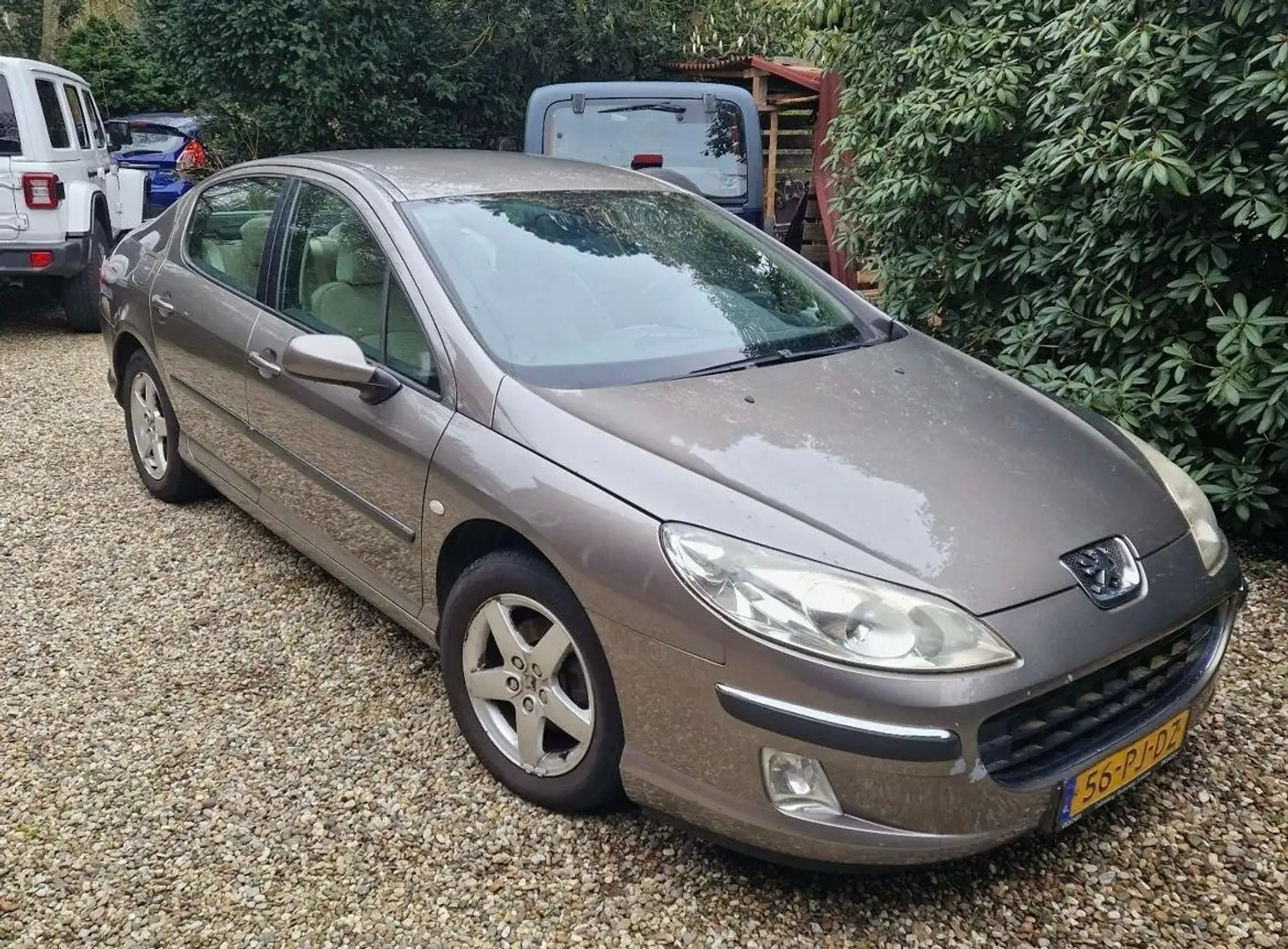 Peugeot 407 407+2.0-16V+XT Béžová - 1