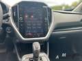 Subaru Crosstrek 2.0 Platinum+dyn. Kurvenlicht+LED+Leder+Smartkey+G Weiß - thumbnail 14