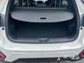 Subaru Crosstrek 2.0 Platinum+dyn. Kurvenlicht+LED+Leder+Smartkey+G Weiß - thumbnail 13