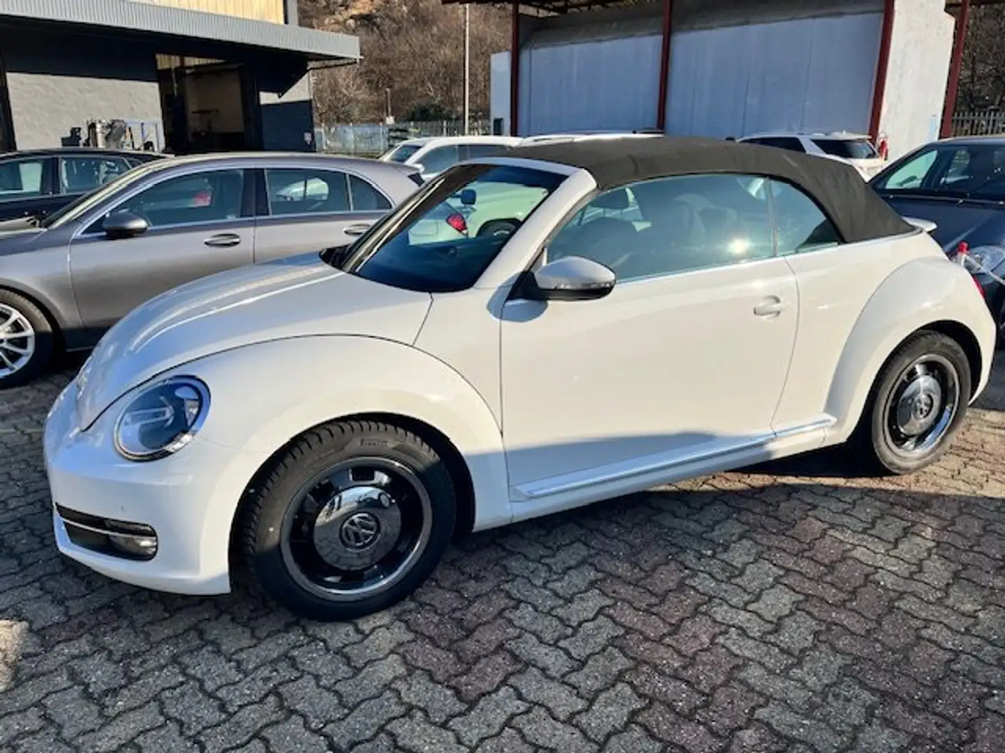Volkswagen Maggiolino 2.0 TDI  Design Blue Motion 110 Cv Wit - 2