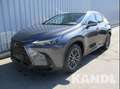 Lexus NX 450h+ Executive Line E-Four Aut. Allrad Grijs - thumbnail 1