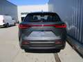 Lexus NX 450h+ Executive Line E-Four Aut. Allrad Grau - thumbnail 6