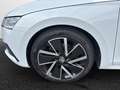 Skoda Octavia Combi 2.0 TDI DSG 4x4 Style Weiß - thumbnail 5