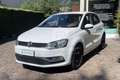 Volkswagen Polo Polo 1.4 TDI 90 CV 5p. Original BlueMotion Technology Bianco - thumbnail 1