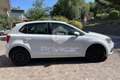Volkswagen Polo Polo 1.4 TDI 90 CV 5p. Original BlueMotion Technology Bianco - thumbnail 4