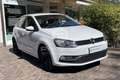 Volkswagen Polo Polo 1.4 TDI 90 CV 5p. Original BlueMotion Technology Bianco - thumbnail 3