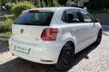 Volkswagen Polo Polo 1.4 TDI 90 CV 5p. Original BlueMotion Technology Bianco - thumbnail 6