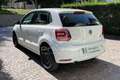 Volkswagen Polo Polo 1.4 TDI 90 CV 5p. Original BlueMotion Technology Bianco - thumbnail 5