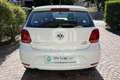 Volkswagen Polo Polo 1.4 TDI 90 CV 5p. Original BlueMotion Technology Bianco - thumbnail 7