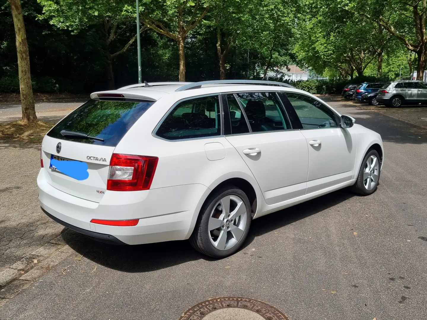 Skoda Octavia Octavia Combi 2.0 TDI Green tec 4x4 Elegance Bílá - 1