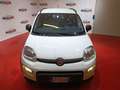 Fiat Panda Panda 1.0 firefly hybrid City Life Bianco - thumbnail 12