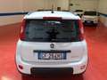 Fiat Panda Panda 1.0 firefly hybrid City Life Bianco - thumbnail 6