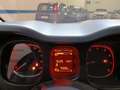 Fiat Panda Panda 1.0 firefly hybrid City Life Bianco - thumbnail 11