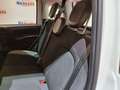 Fiat Panda Panda 1.0 firefly hybrid City Life Bianco - thumbnail 14