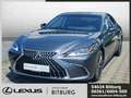 Lexus ES 300 h h Business Line sofort verfügbar Grau - thumbnail 1