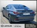 Lexus ES 300 h h Business Line sofort verfügbar Сірий - thumbnail 2