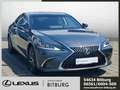 Lexus ES 300 h h Business Line sofort verfügbar Grau - thumbnail 5
