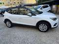 SEAT Arona Arona 2017 1.6 tdi Reference 95cv Bianco - thumbnail 8