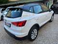 SEAT Arona Arona 2017 1.6 tdi Reference 95cv Bianco - thumbnail 4