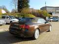 Audi A5 TDI CABRIO TOP ZUSTAND! Braun - thumbnail 7