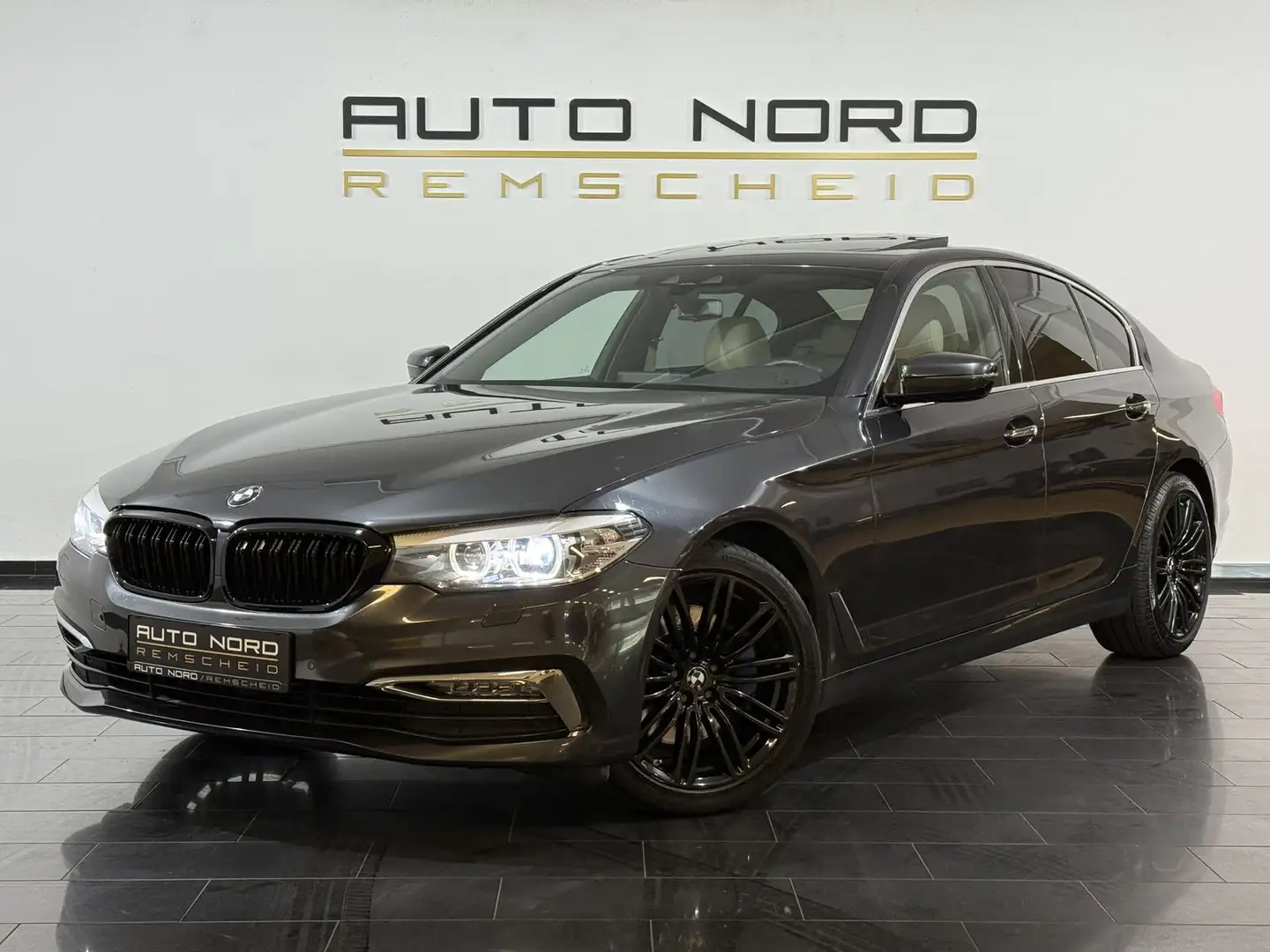BMW 530 d Luxury Line Limo*S.Dach*HeadUP*Navi*Leder* Серый - 1