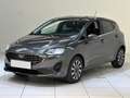 Ford Fiesta Fiesta 1.0 Ecoboost Hybrid 125 CV 5 porte Titanium - thumbnail 1