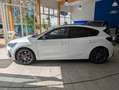 Ford Focus ST 5-trg. Weiß - thumbnail 8