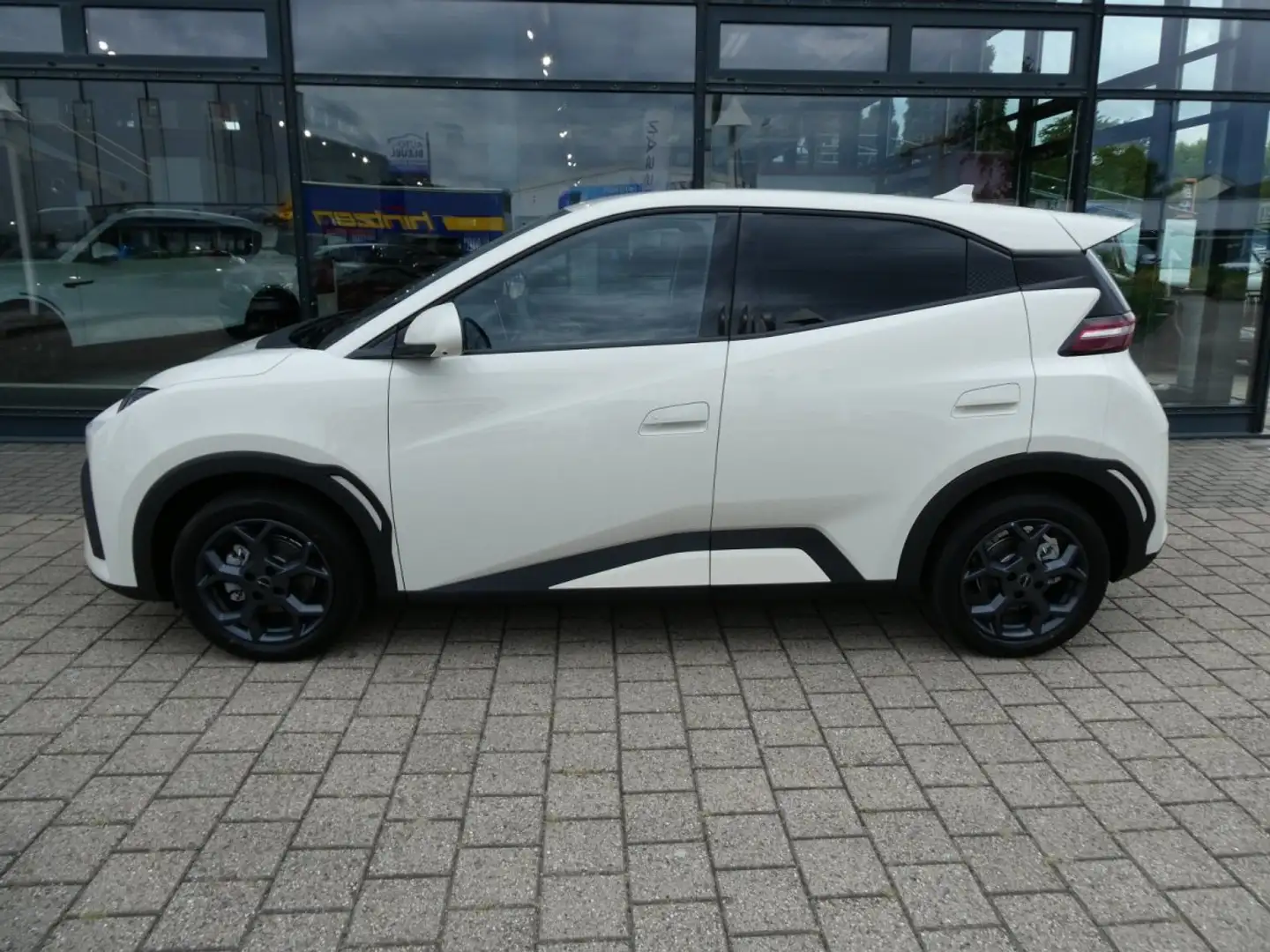 BYD Dolphin Surf Comfort 43kWh *Leder*LED*360-Grad*SHZ*Allwetter Weiß - 2