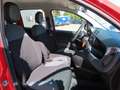 Fiat Panda Easy 1,2 Rot - thumbnail 8