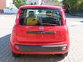 Fiat Panda Easy 1,2 Rot - thumbnail 3