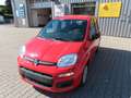 Fiat Panda Easy 1,2 Rot - thumbnail 5