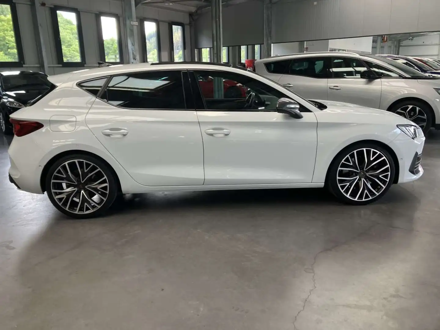 CUPRA Leon VZ DSG 300HP Blanc - 2