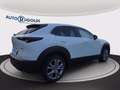 Mazda CX-30 2.0 m-hybrid executive 2wd 122cv 6mt Grigio - thumbnail 4