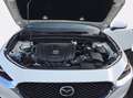 Mazda CX-30 2.0 m-hybrid executive 2wd 122cv 6mt Grigio - thumbnail 10