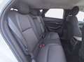 Mazda CX-30 2.0 m-hybrid executive 2wd 122cv 6mt Grigio - thumbnail 9
