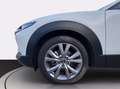 Mazda CX-30 2.0 m-hybrid executive 2wd 122cv 6mt Grigio - thumbnail 17