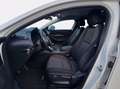 Mazda CX-30 2.0 m-hybrid executive 2wd 122cv 6mt Grigio - thumbnail 18
