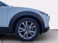 Mazda CX-30 2.0 m-hybrid executive 2wd 122cv 6mt Grigio - thumbnail 14