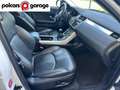 Land Rover Range Rover Evoque 5p 2.0 td4 HSE Dynamic 150cv Bianco - thumbnail 11