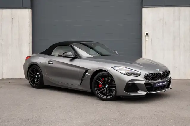 BMW Z4 Z4 sDrive30i/ Frozen Grey / Cognac sportstoelen / Keyless Entry