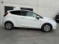 Ford Fiesta 1.6 TDCi Trend - ZO MEENEMEN/EXPORT! Weiß - thumbnail 4