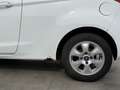 Ford Fiesta 1.6 TDCi Trend - ZO MEENEMEN/EXPORT! Weiß - thumbnail 8