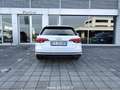 Audi A4 35 TDI 150cv S-Tronic Navi Fari Xeno EURO6D-temp Blanco - thumbnail 17