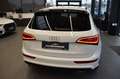 Audi SQ5 plus 3.0TDI quattro Rauten~B&O~Pano~AHK~21" Weiß - thumbnail 6